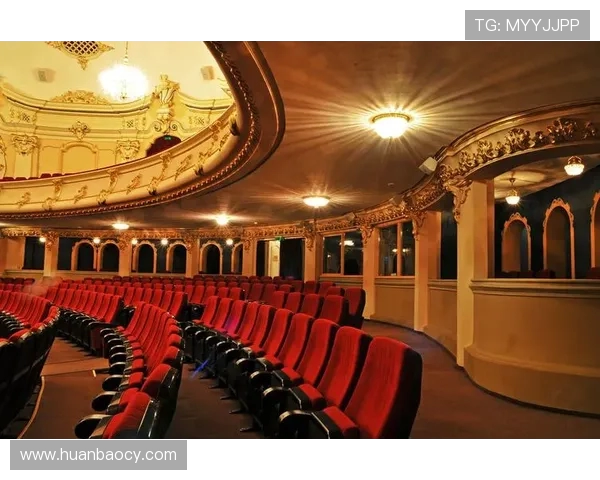 莱奥的成长之路：从少年梦想到世界舞台的辉煌历程